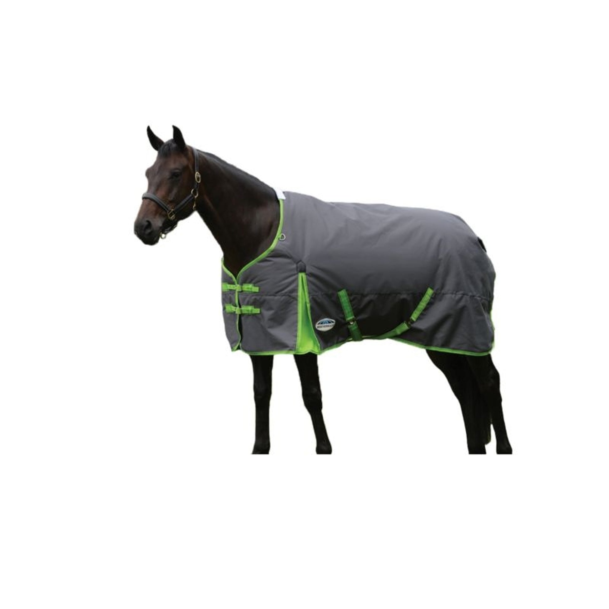 Weatherbeeta ComFiTec Essential Standard Neck Heavy Blanket