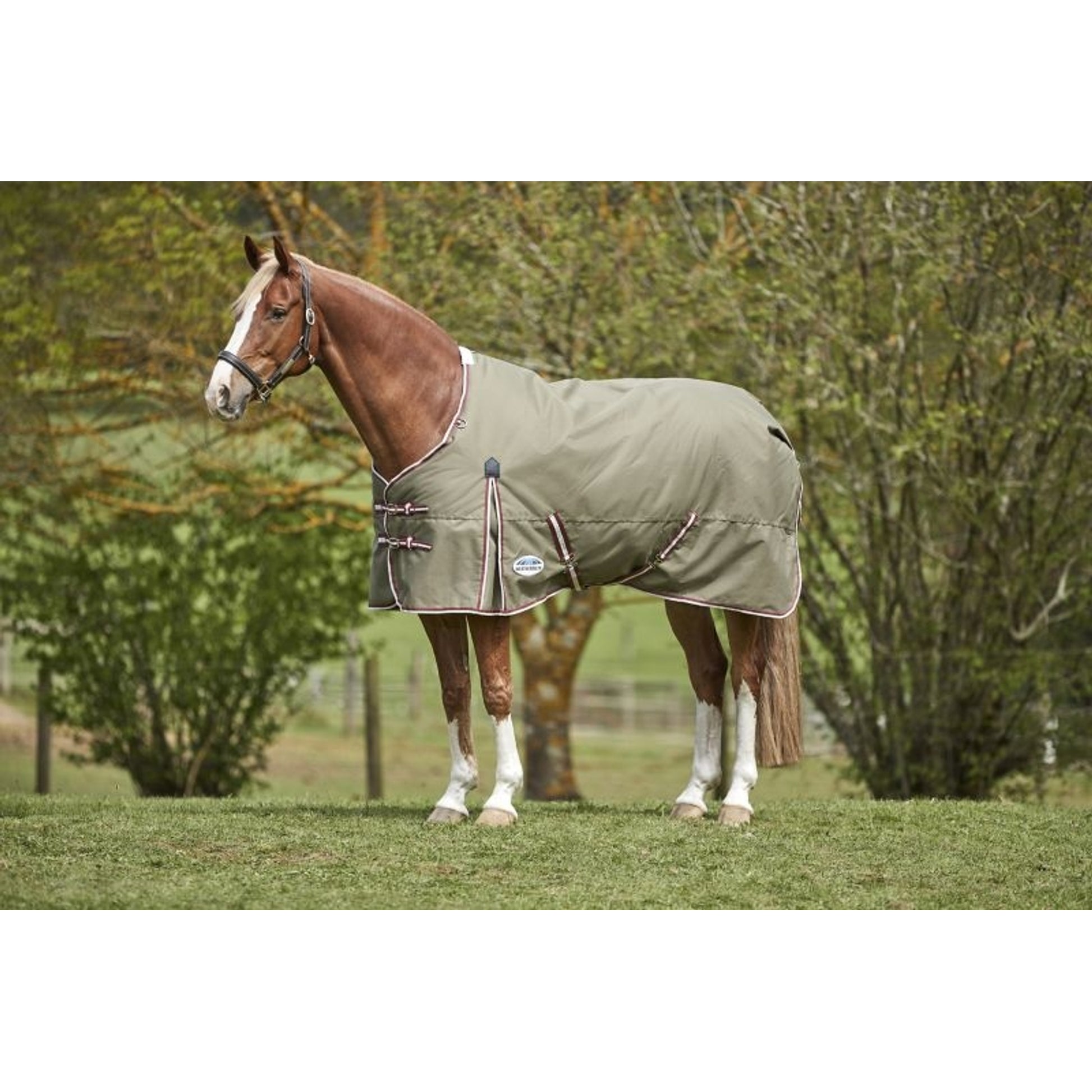 Weatherbeeta ComFiTec Essential Standard Neck Heavy Blanket