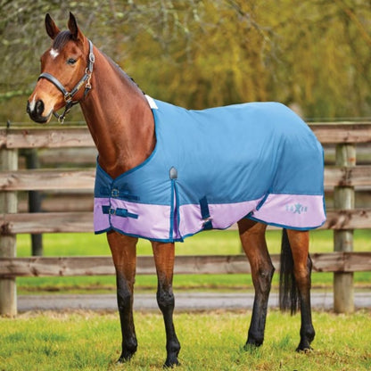 Saxon 600D Standard Medium Blanket