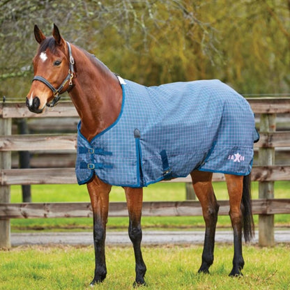 Saxon 600D Standard Medium Blanket