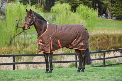 Saxon 600D Standard Medium Blanket