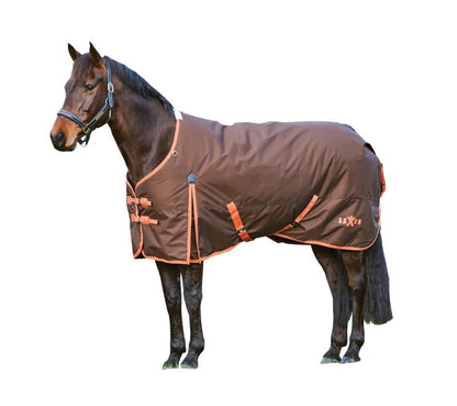 Saxon 600D Standard Medium Blanket