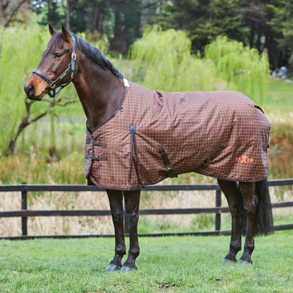 Saxon 600D Standard Medium Blanket