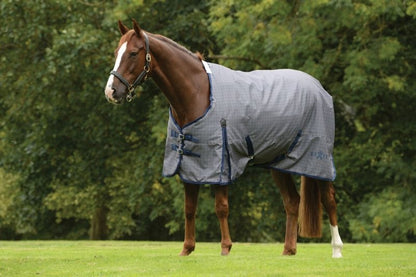 Saxon 600D Standard Medium Blanket