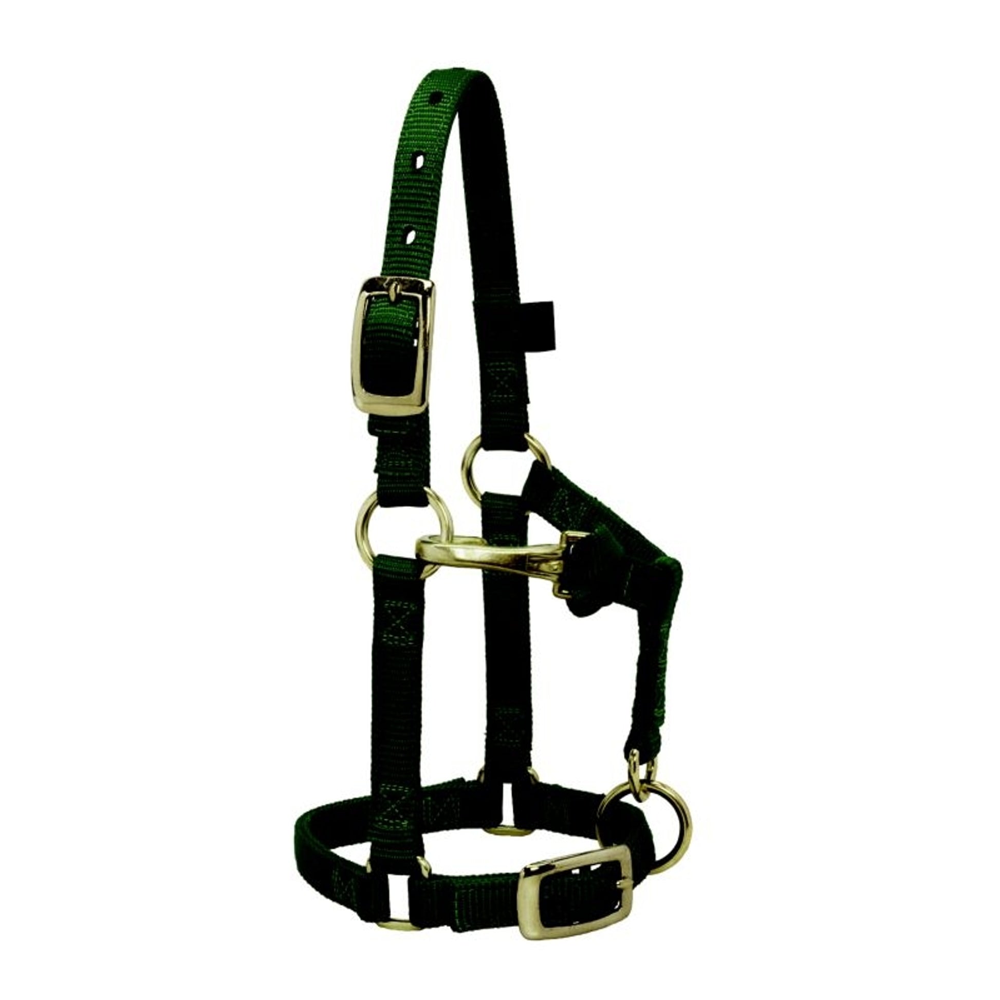 Weaver Mini Adj Nylon Halter Brass