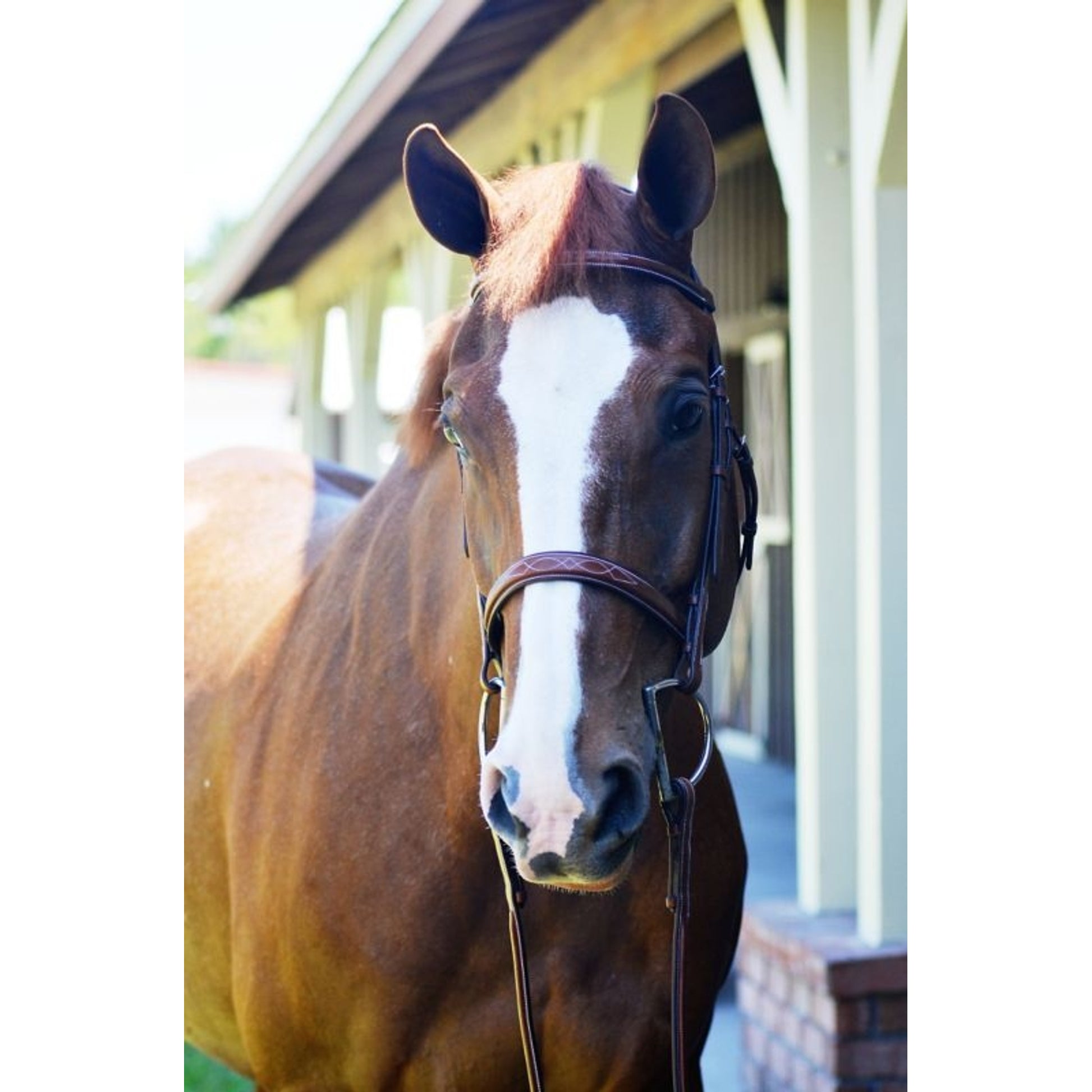 Huntley Sedgwick Leather Fancy Stitch Bridle