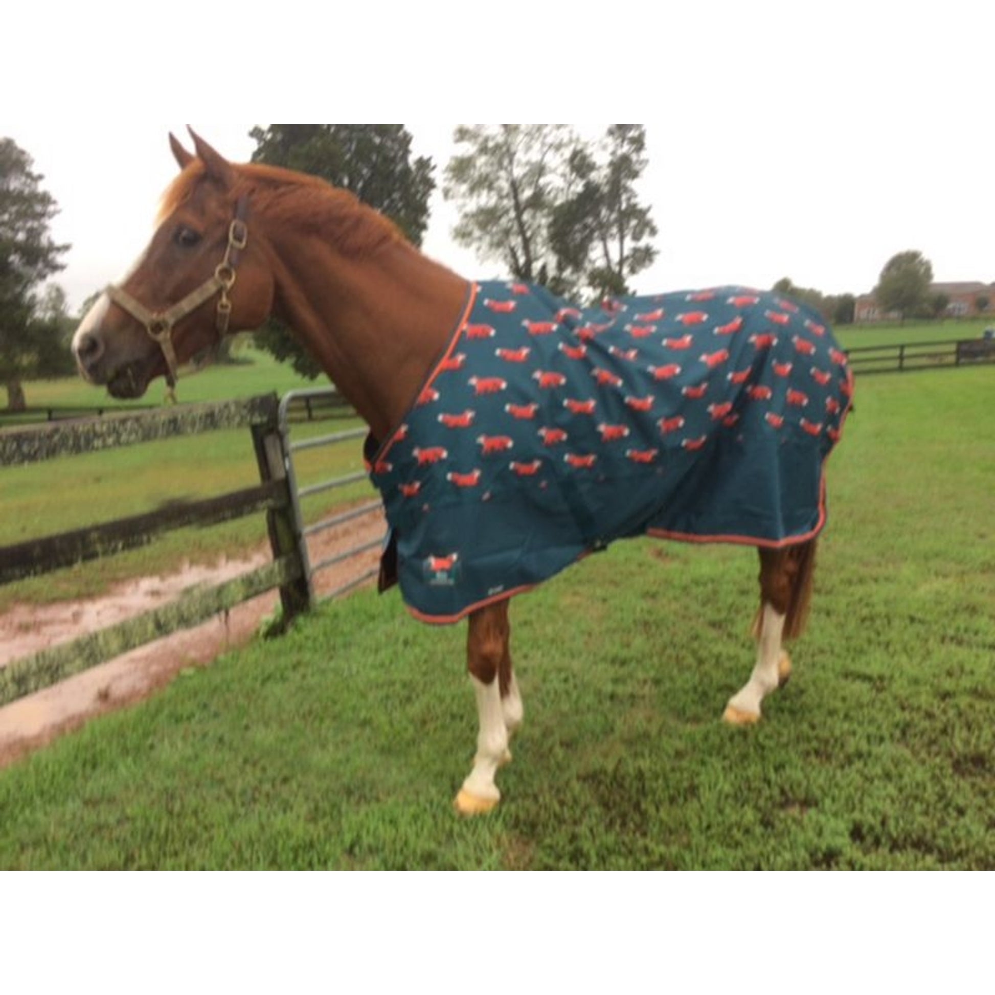 Shires Tempest Original Lite Fox Print Sheet