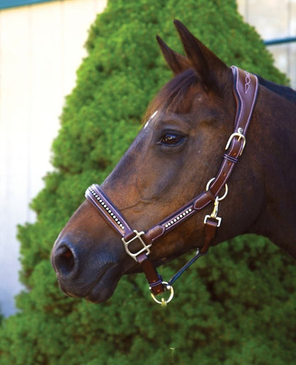 Henry de Rivel Padded Crystal Halter