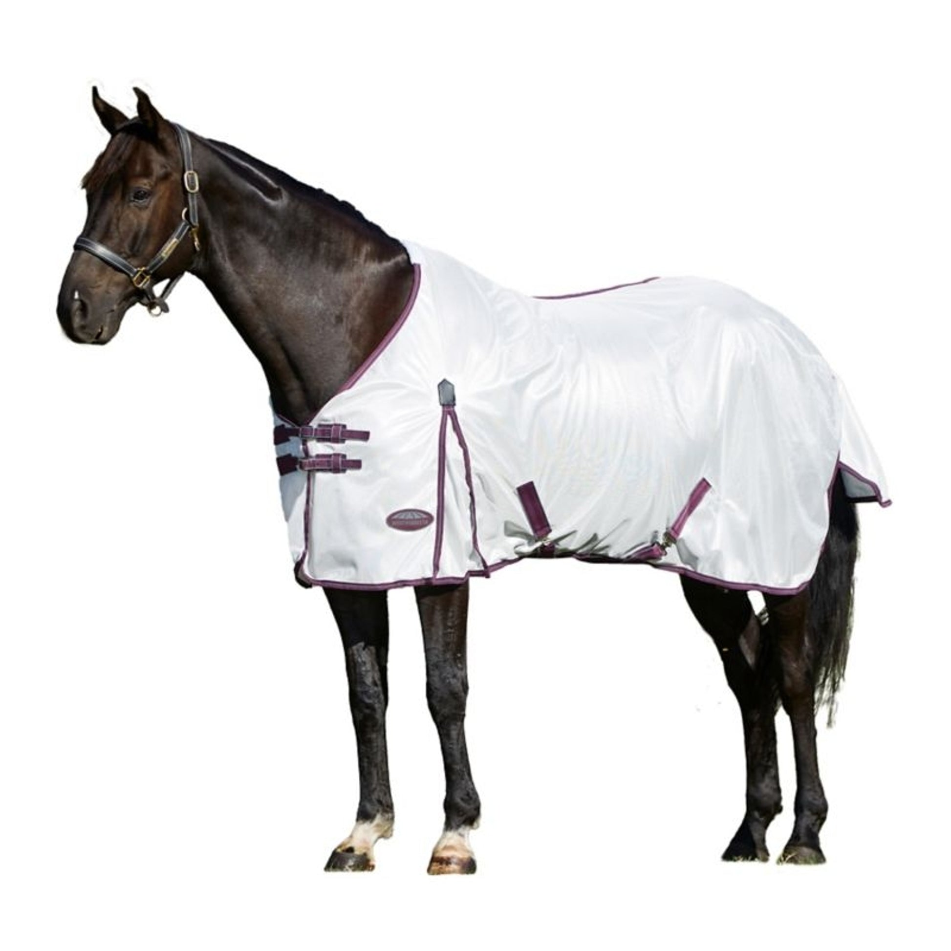 Weatherbeeta ComFitec Essential Mesh II Standard Neck Fly Sheet