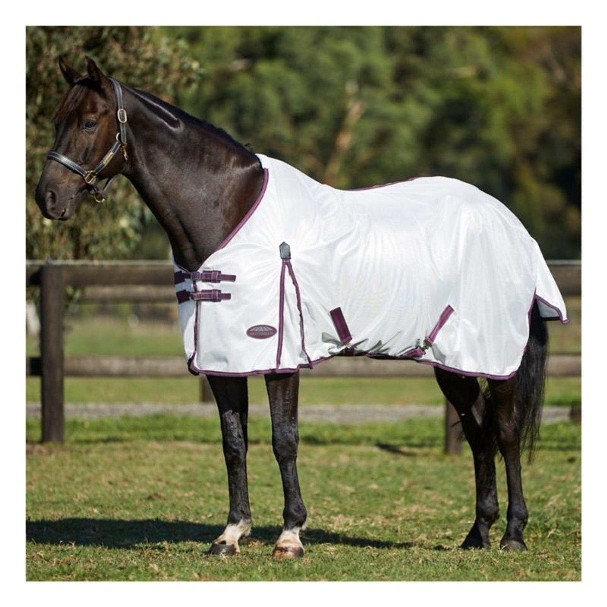 Weatherbeeta ComFitec Essential Mesh II Standard Neck Fly Sheet