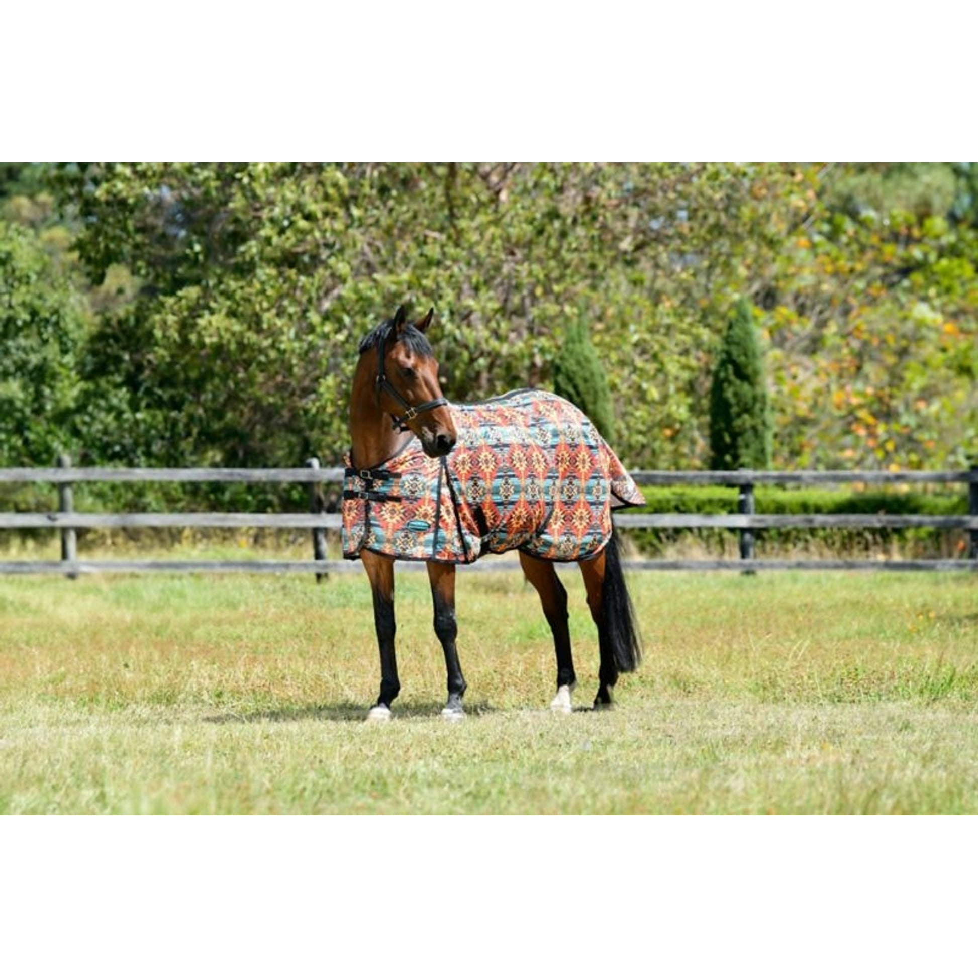 Weatherbeeta ComFitec Essential Mesh II Standard Neck Fly Sheet