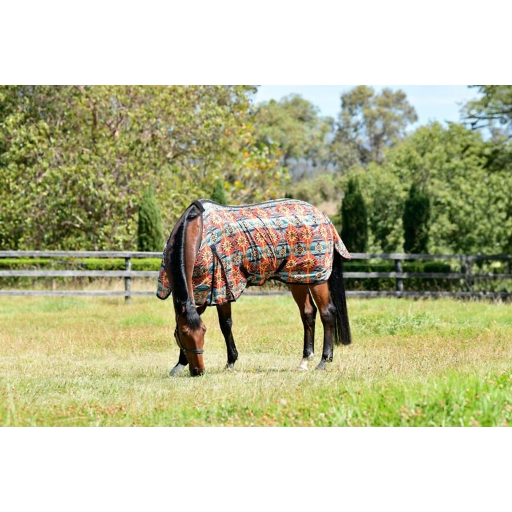 Weatherbeeta ComFitec Essential Mesh II Standard Neck Fly Sheet