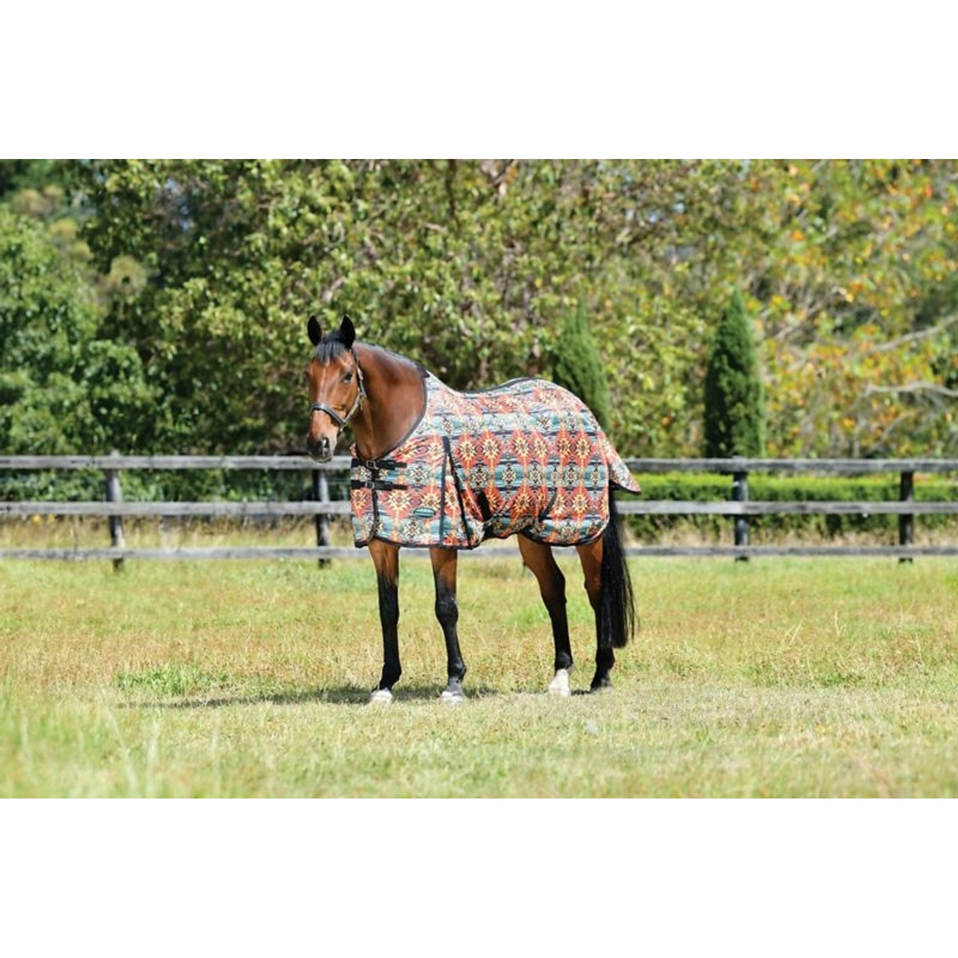 Weatherbeeta ComFitec Essential Mesh II Standard Neck Fly Sheet