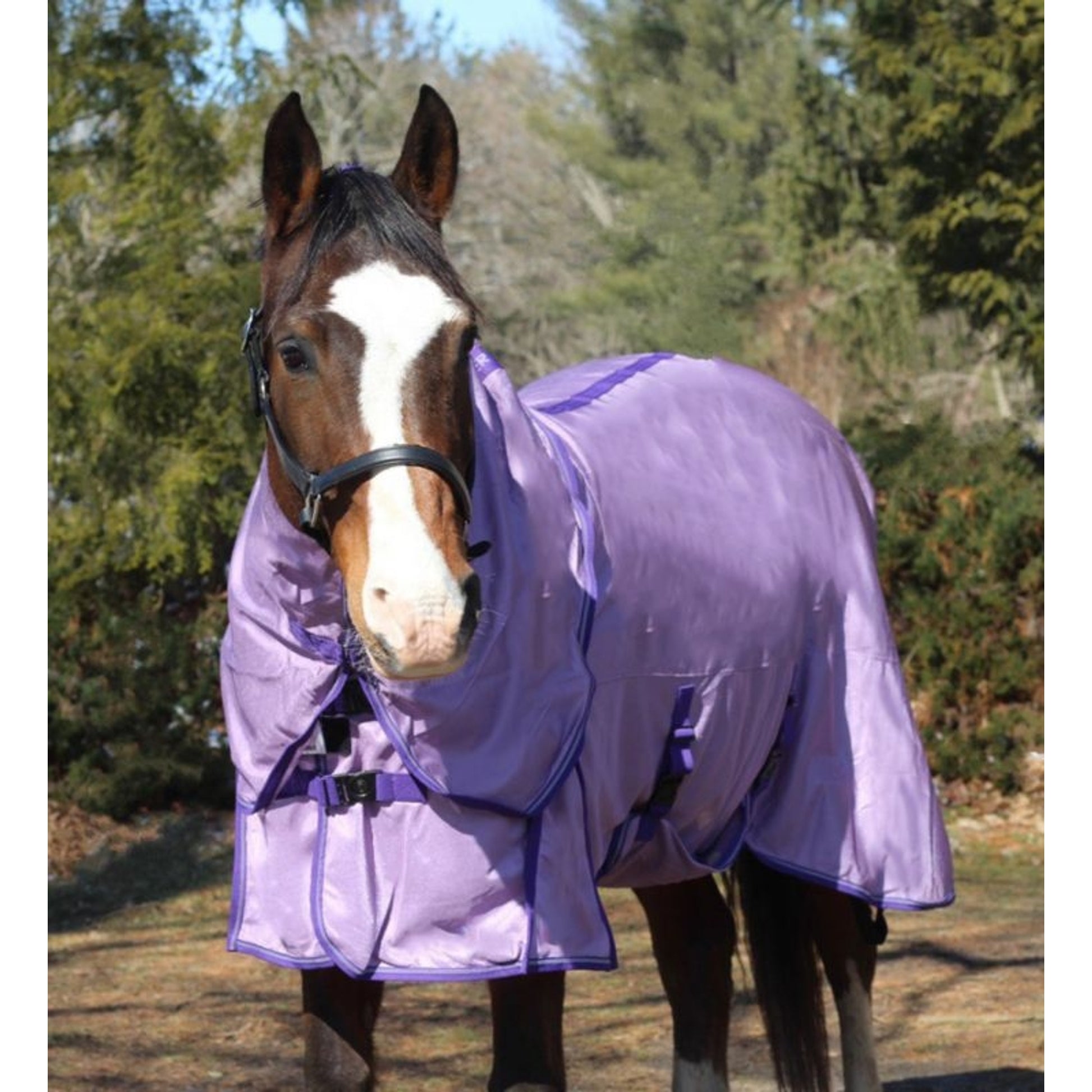 TuffRider Power Mesh Detachable Neck Fly Sheet