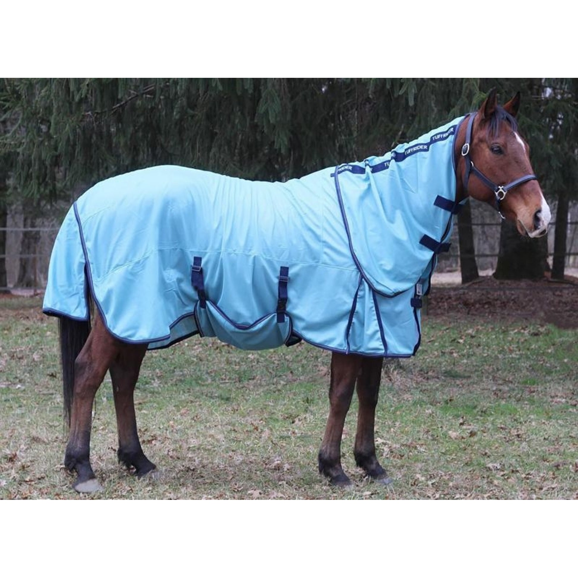 TuffRider Power Mesh Detachable Neck Fly Sheet