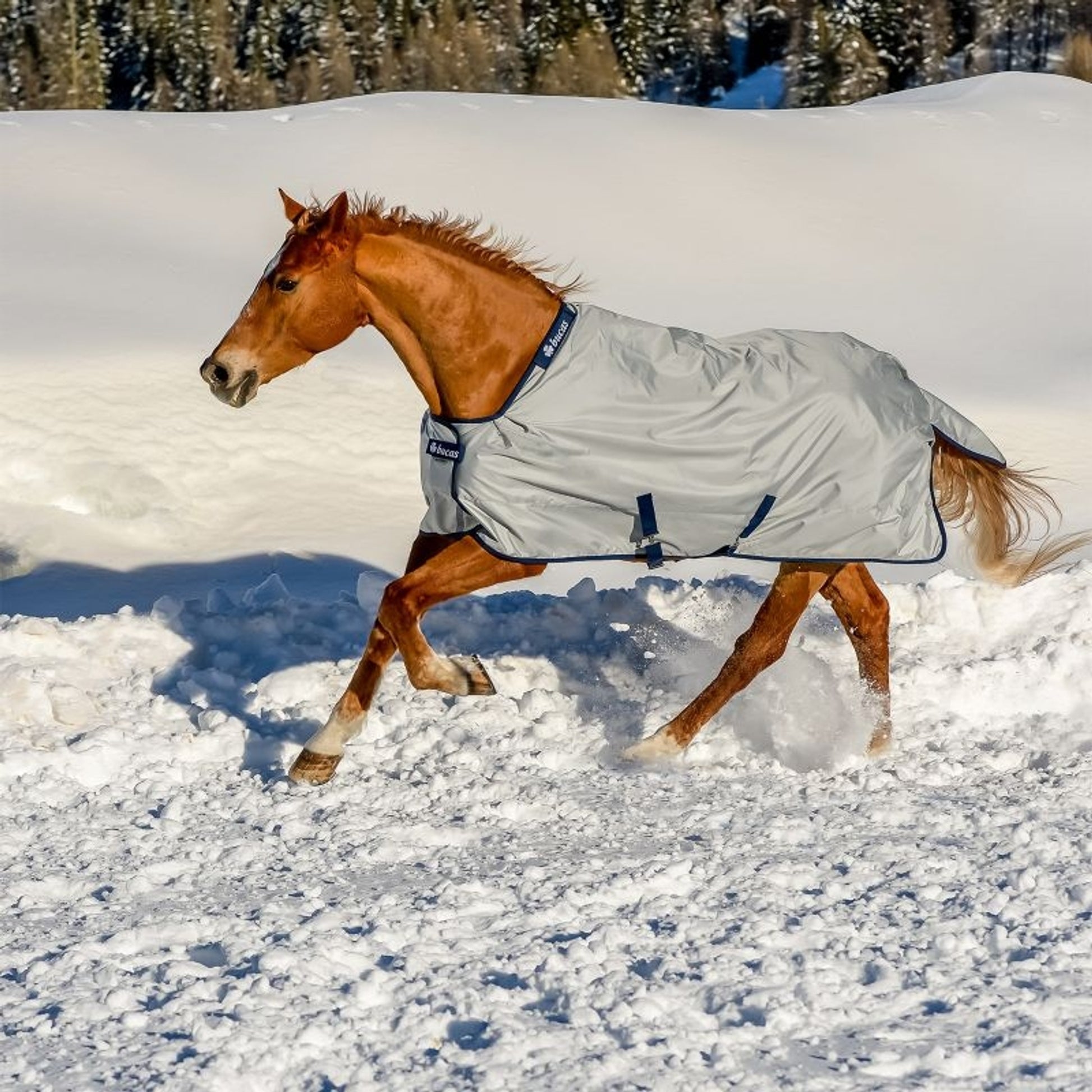 Bucas Light Power Turnout Blanket w.Big Neck