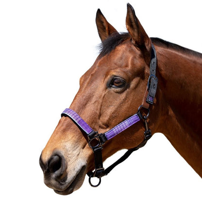 Kensington Breakaway Halter