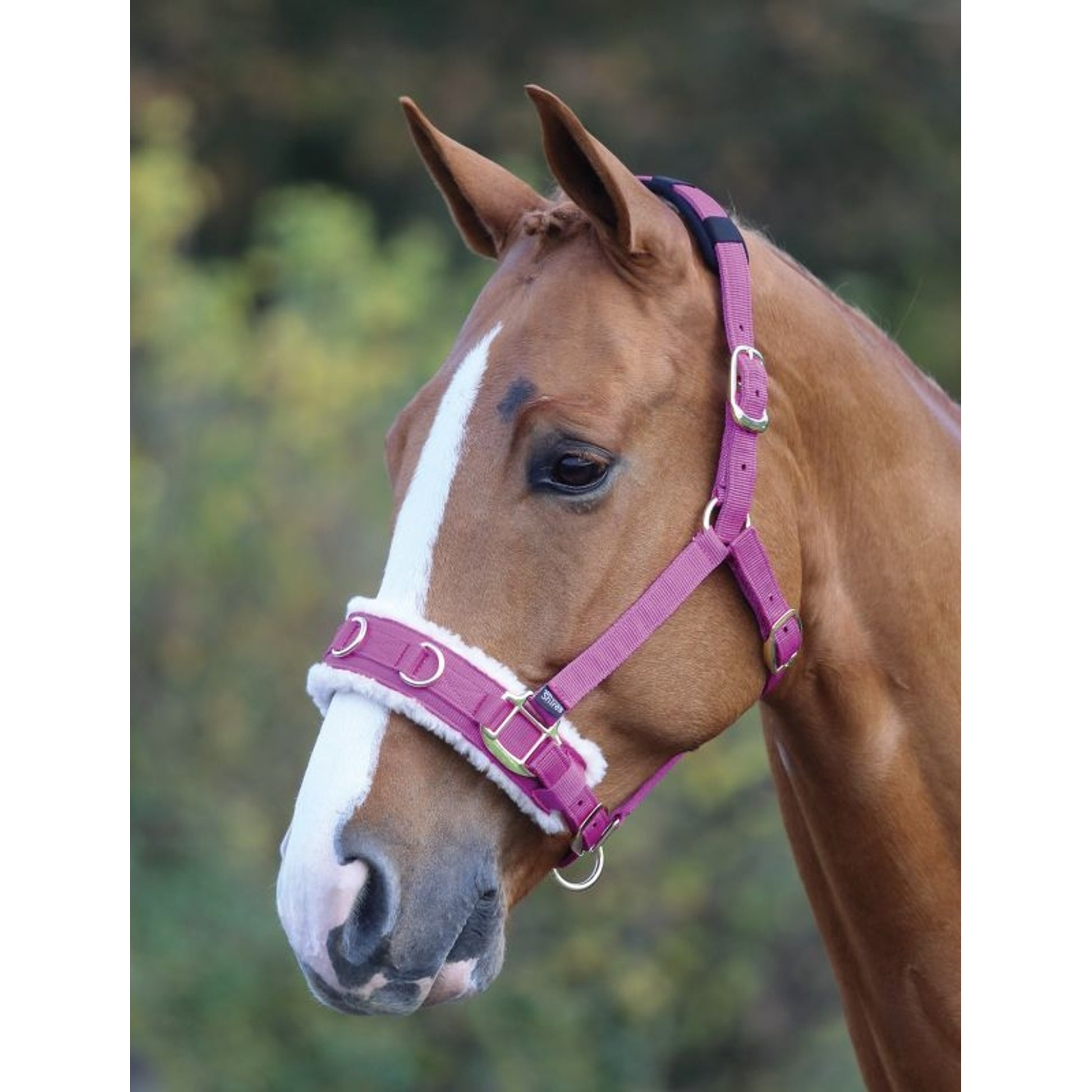 Shires Fleece Lined Lunge Cavesson