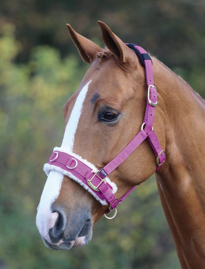 Shires Fleece Lined Lunge Cavesson