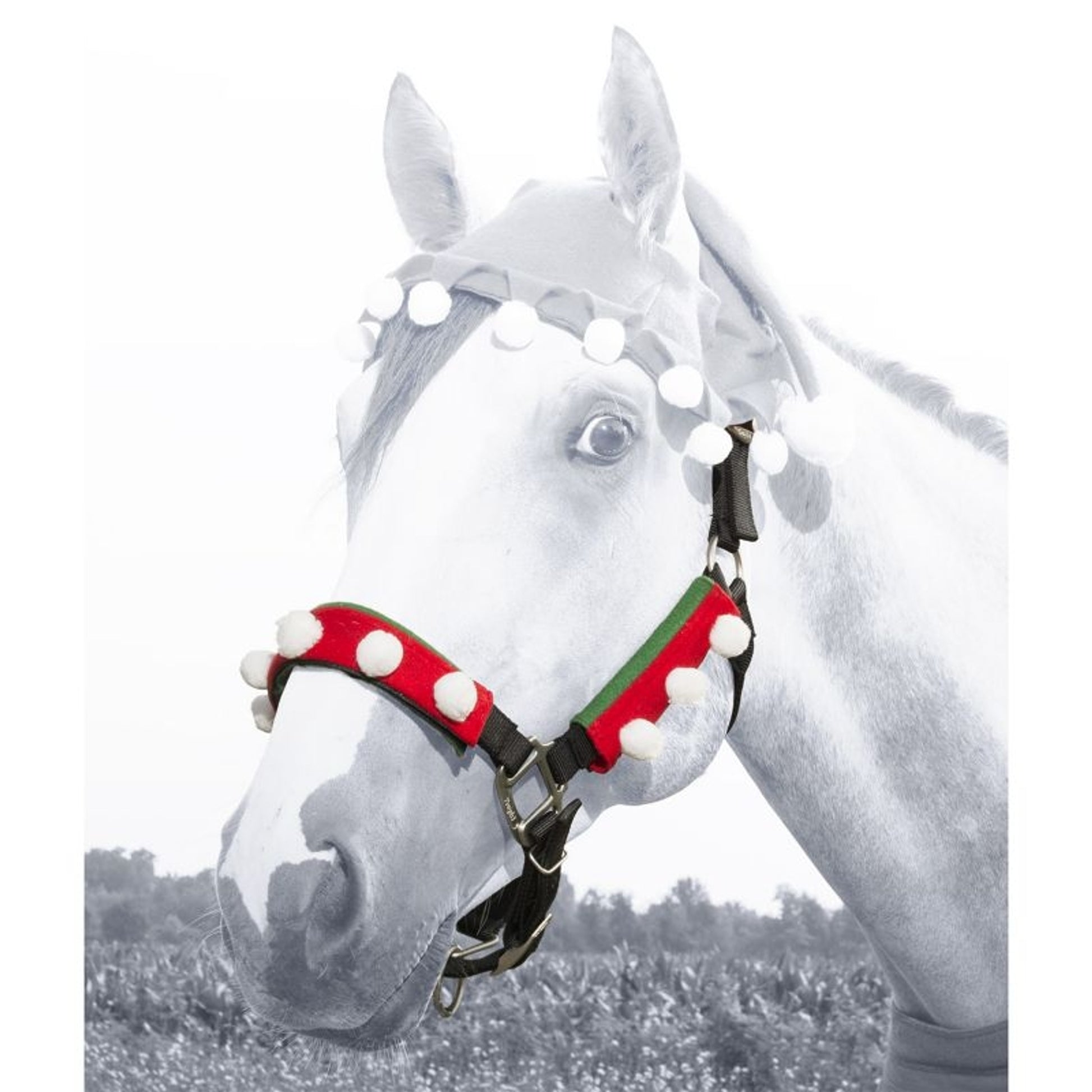 Holiday Elf 3 Piece Halter Set