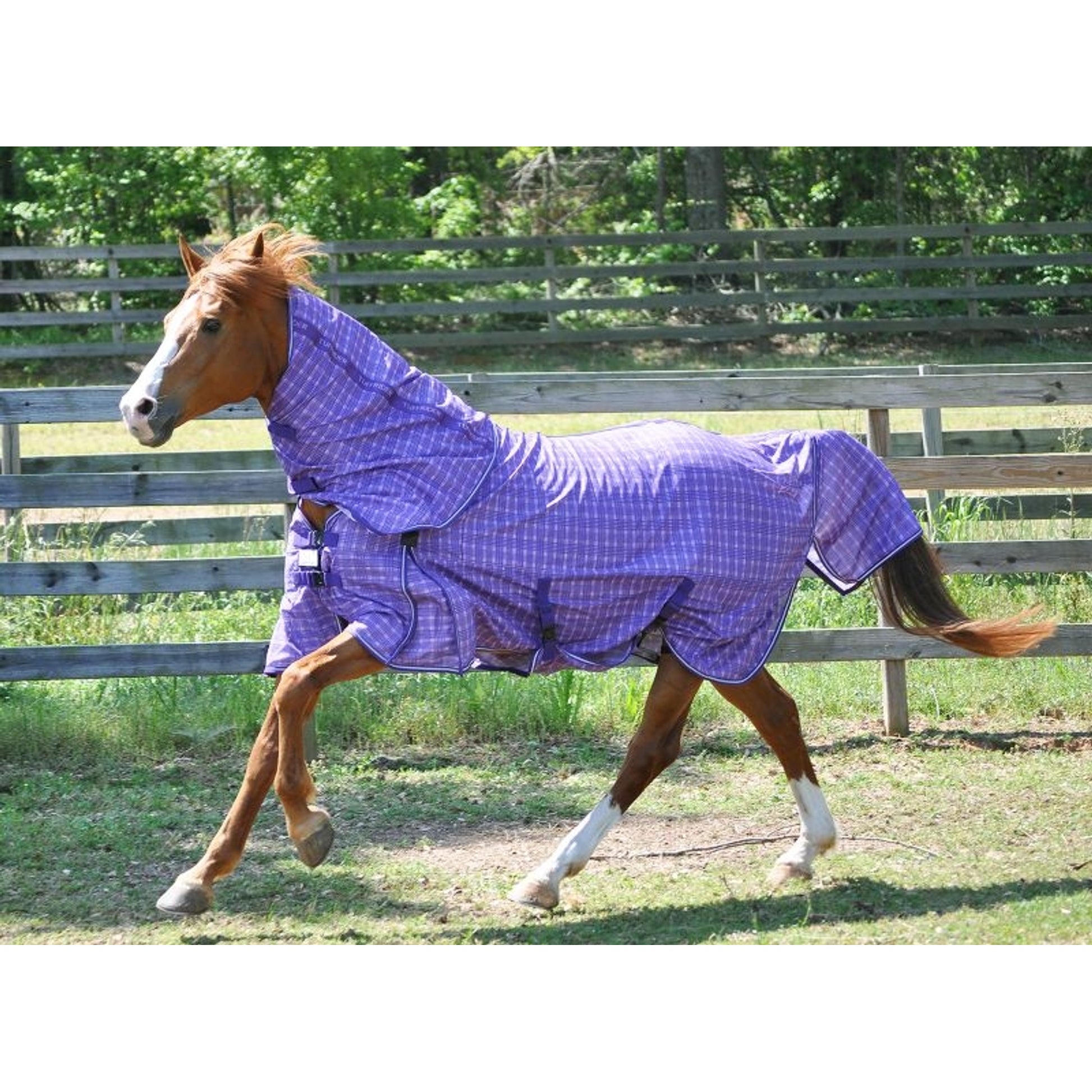 Tuffrider Power Mesh Fly Sheet