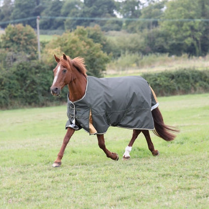 Shires Highlander Plus Lite Standard