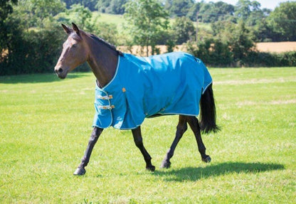 Shires Highlander Plus Lite Standard