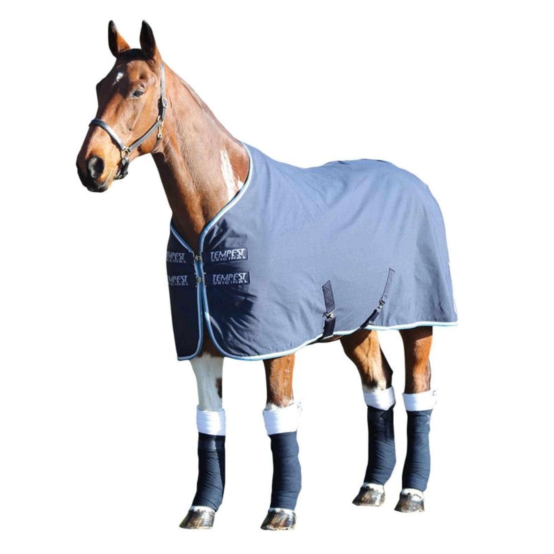 Shires Tempest Org Stable Sheet