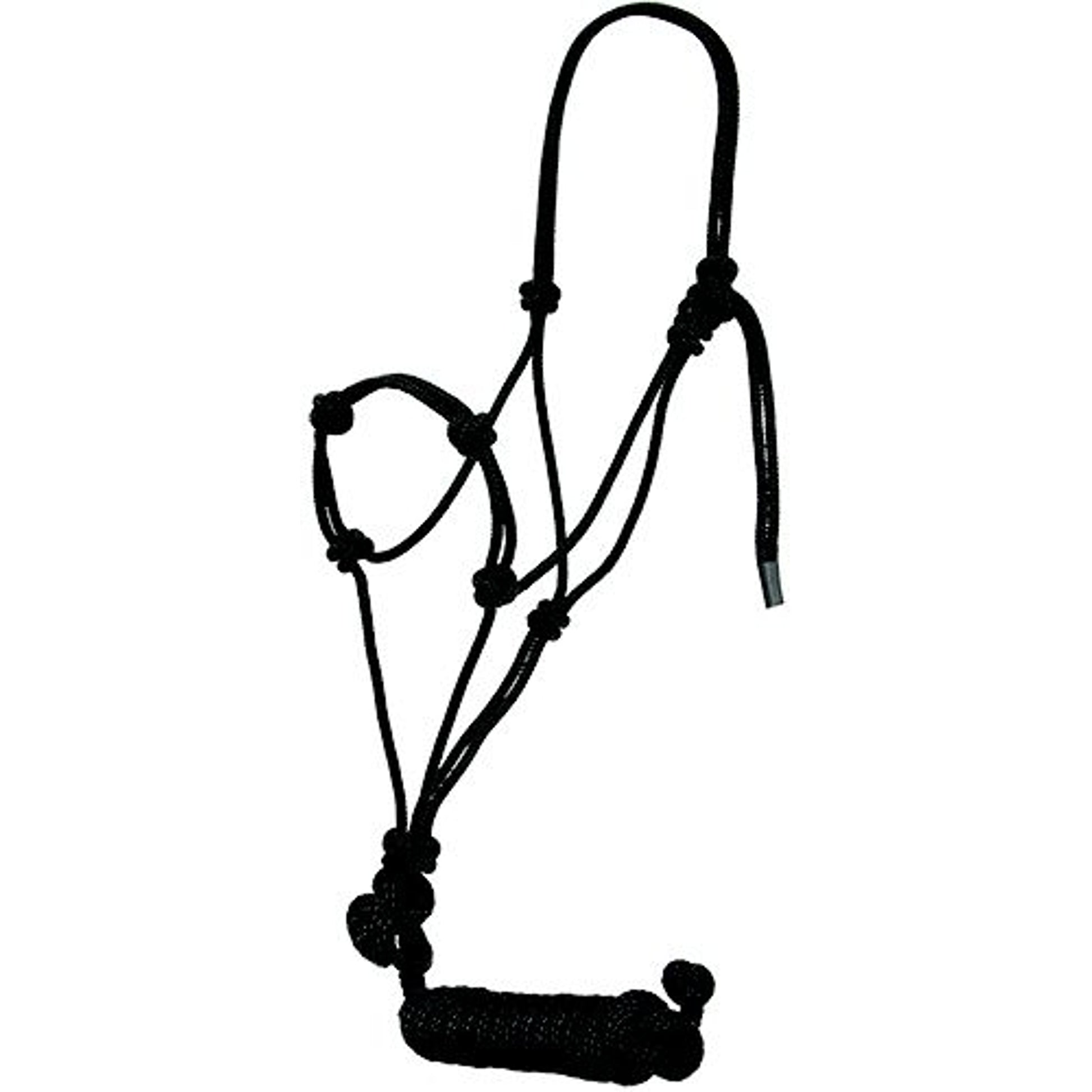 Mustang Yearling Knotted Training Halter with Lead