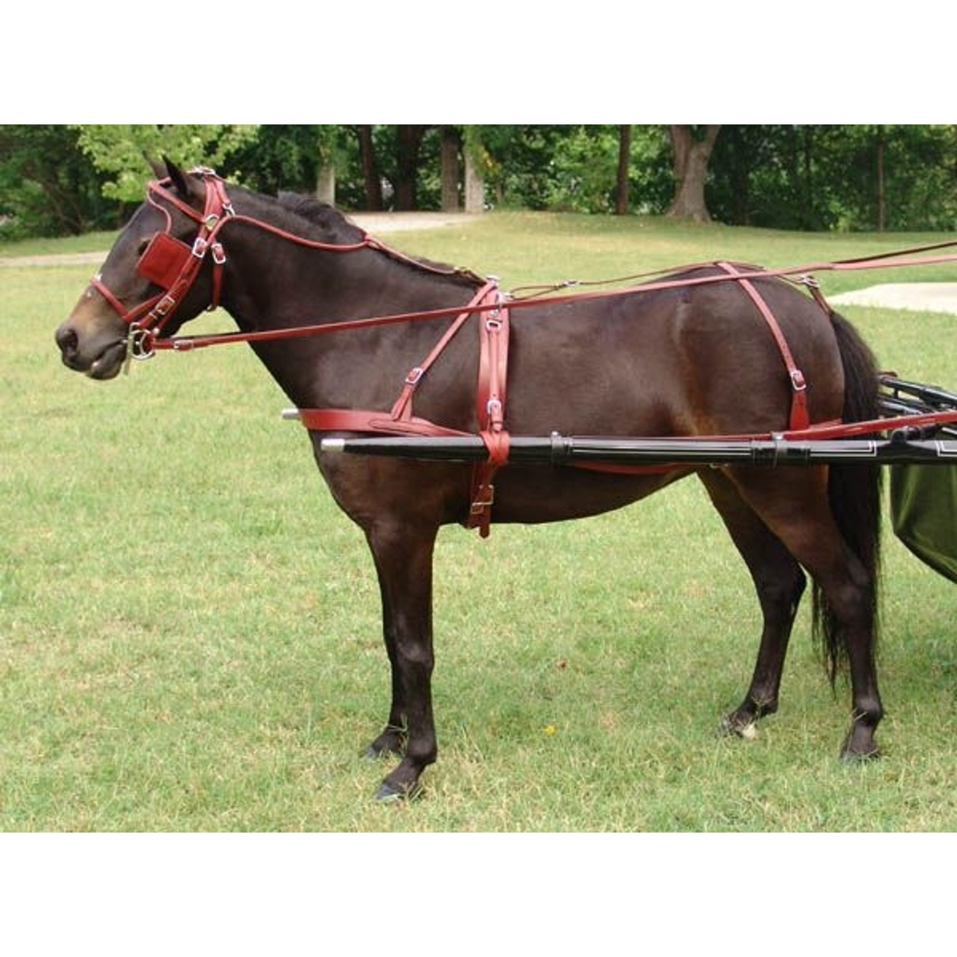 Ozark Russet Leather Pleasure Harness