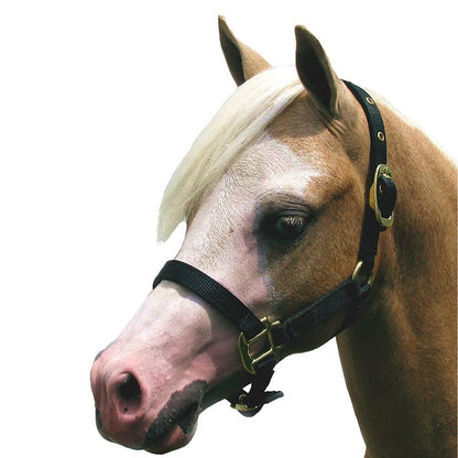 Jacks Training Snaffle Bit 5" Black Steel