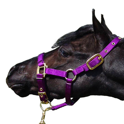 Jacks Training Snaffle Bit 5" Black Steel