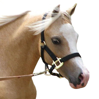 Jacks Training Snaffle Bit 5" Black Steel