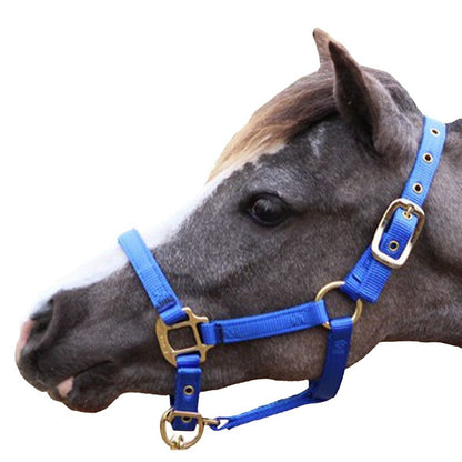 Jacks Training Snaffle Bit 5" Black Steel