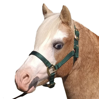 Jacks Training Snaffle Bit 5" Black Steel