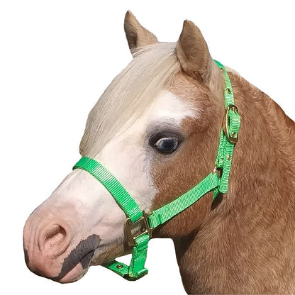 Jacks Training Snaffle Bit 5" Black Steel