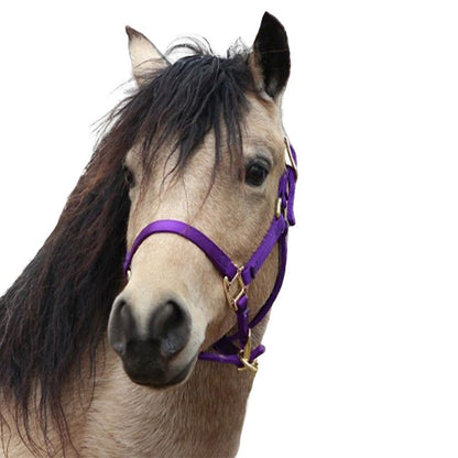Jacks Training Snaffle Bit 5" Black Steel