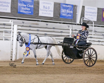 Ozark Min/Pony Western Show Harness