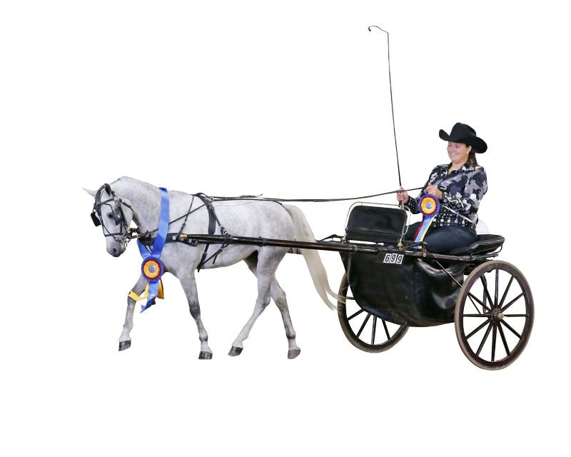 Ozark Min/Pony Western Show Harness