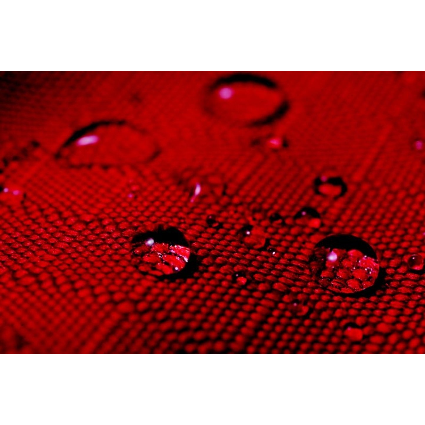 TE023752_RED_03.jpg