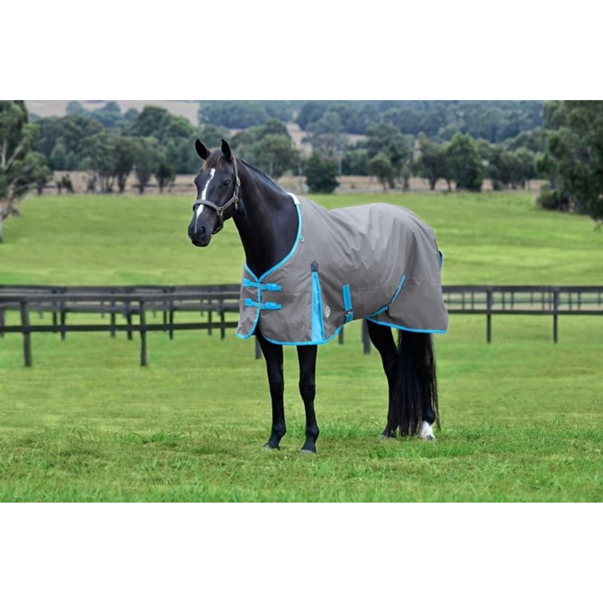Weatherbeeta ComFiTec Classic Standard Neck Lite