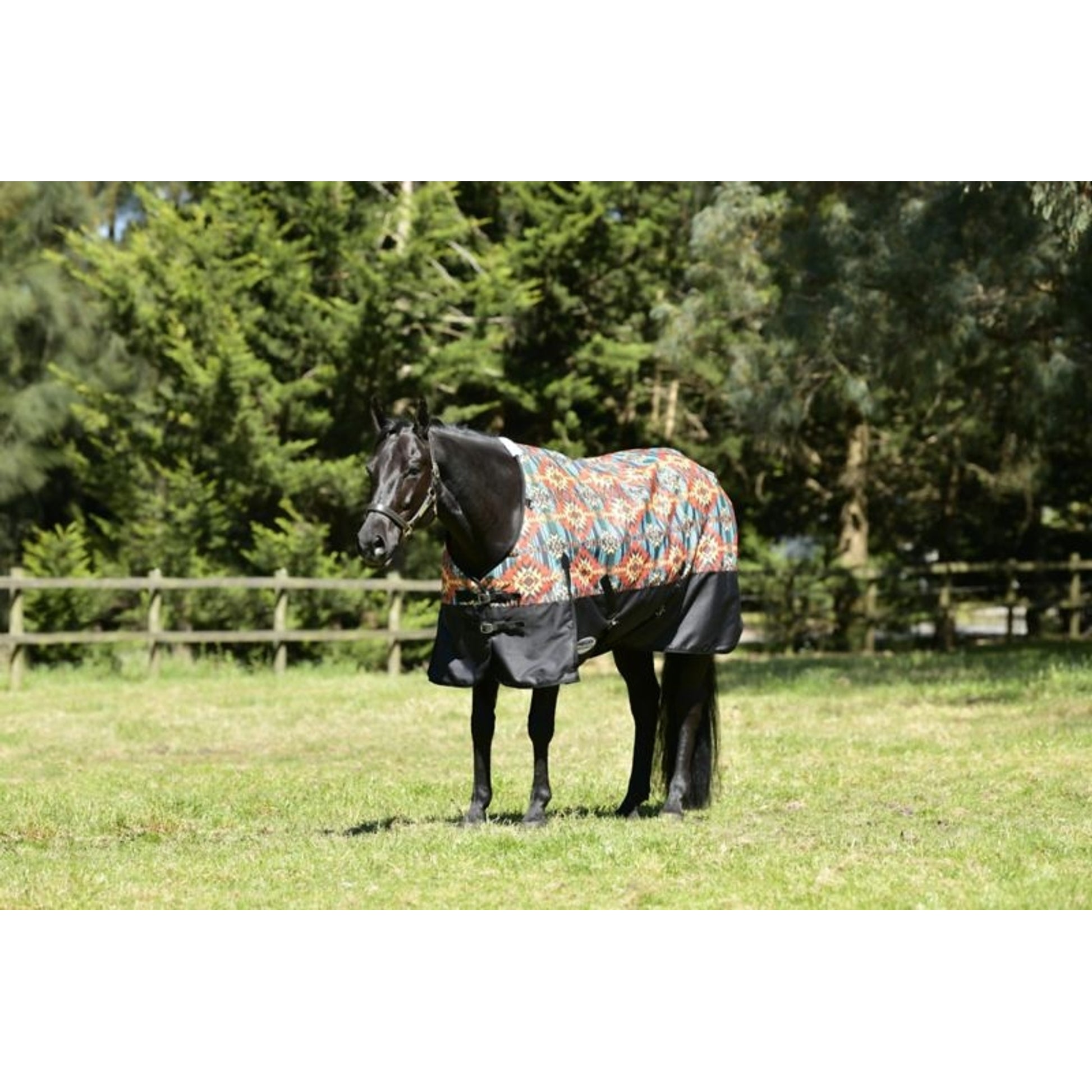 Weatherbeeta ComFiTec Essential Standard Neck Medium Turnout Blanket