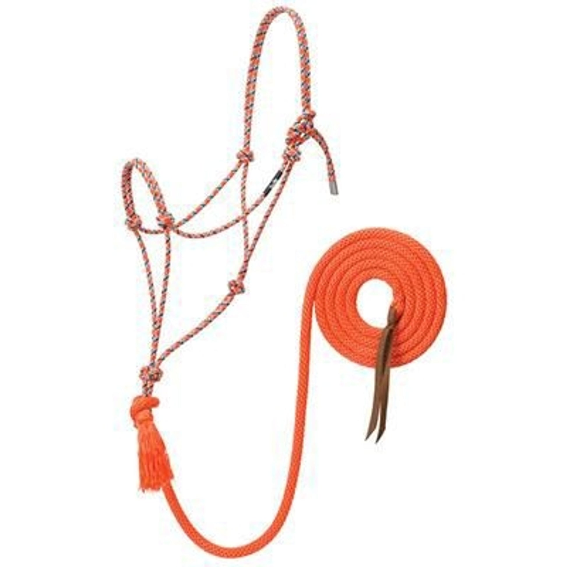 Silvertip No.95 Halter with 10ft Lead