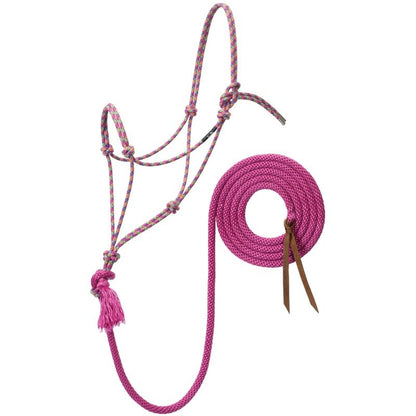 Silvertip No.95 Halter with 12ft Lead