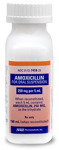 Amoxicillin