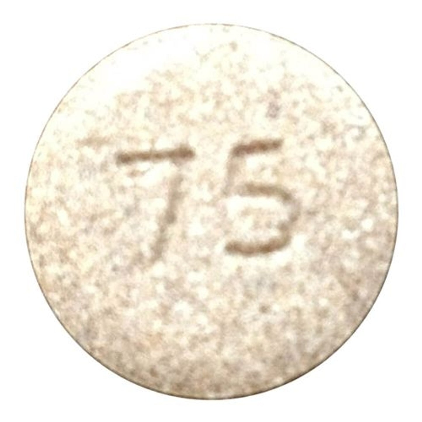 TE024053_522811.jpg