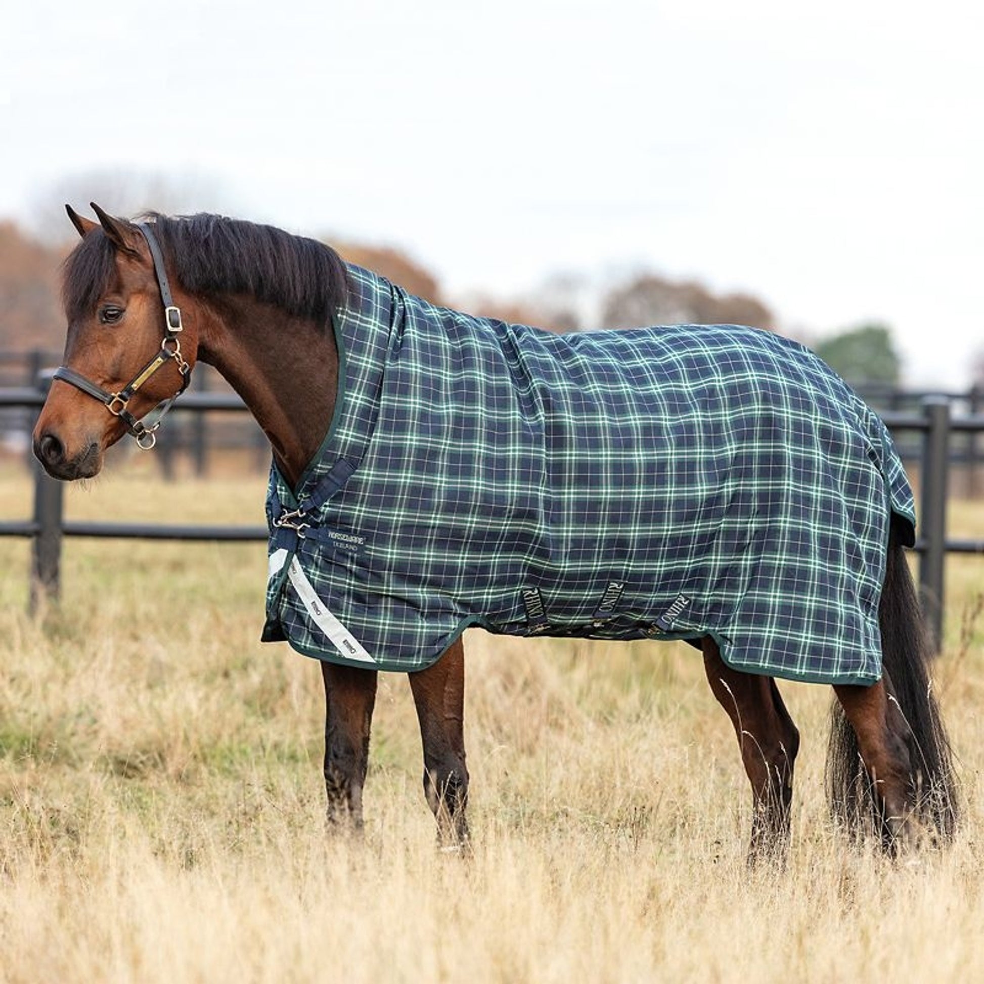 Rhino Wug Turnout Blanket 100g