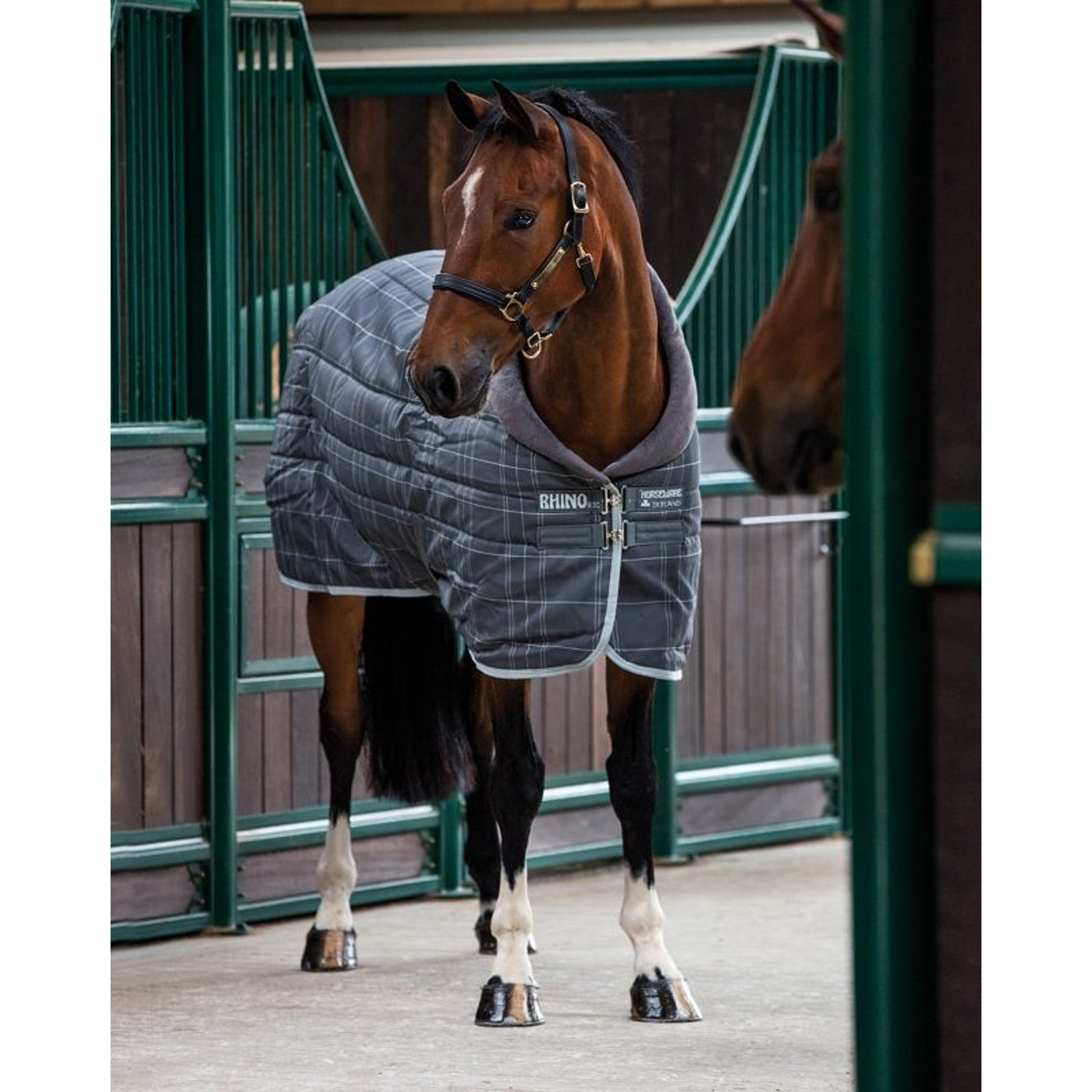 Rhino Org Stable Blanket VL Heavy