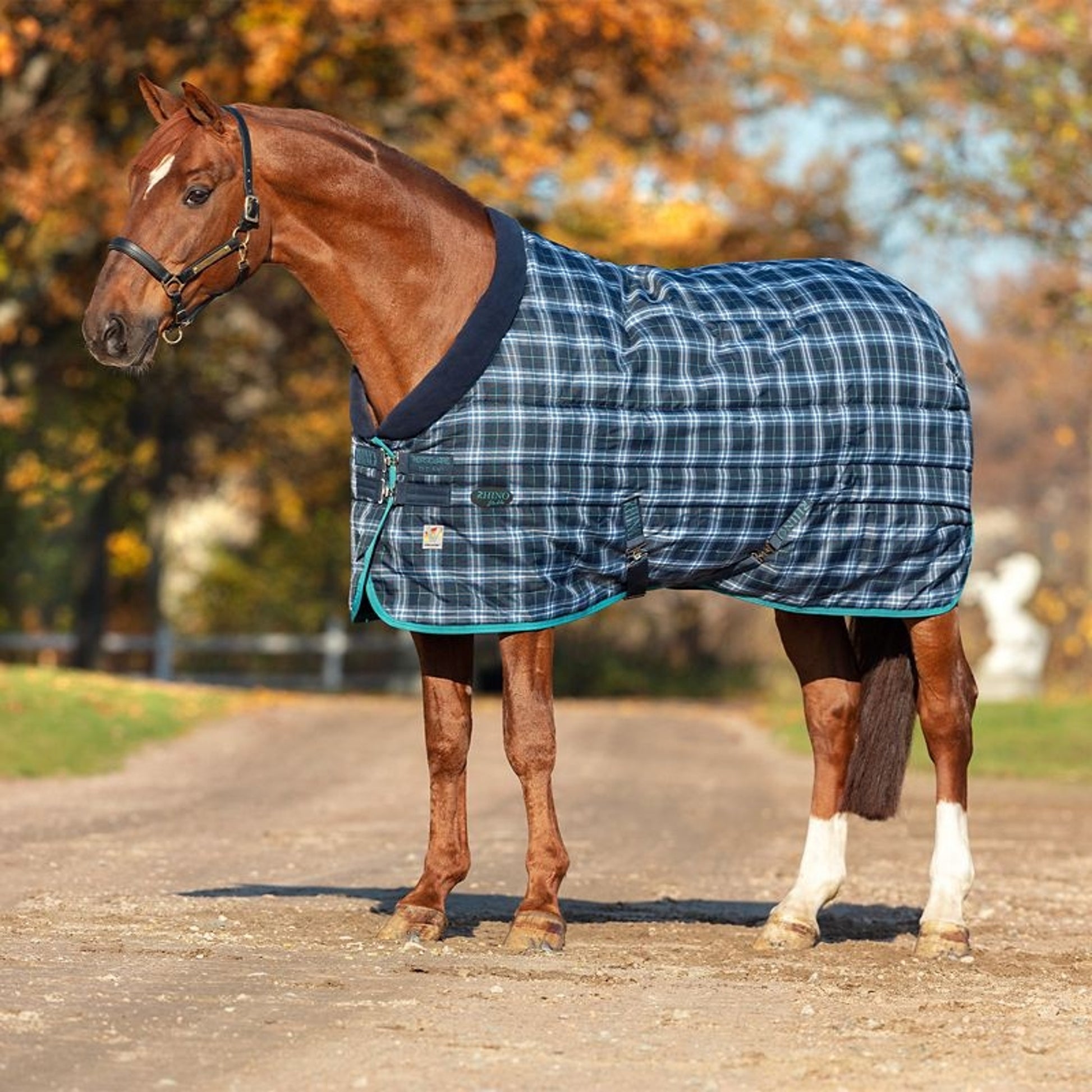 Rhino Org Stable Blanket VL Heavy