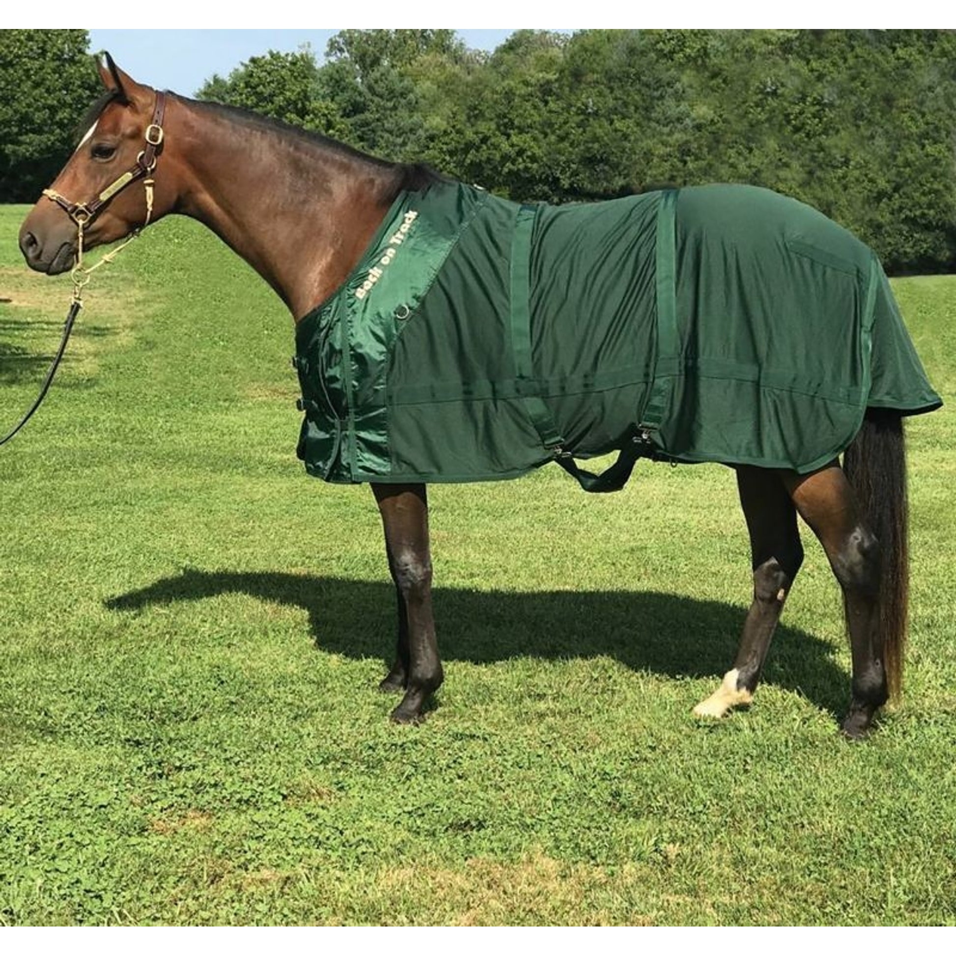 Back On Track Mesh Sheet